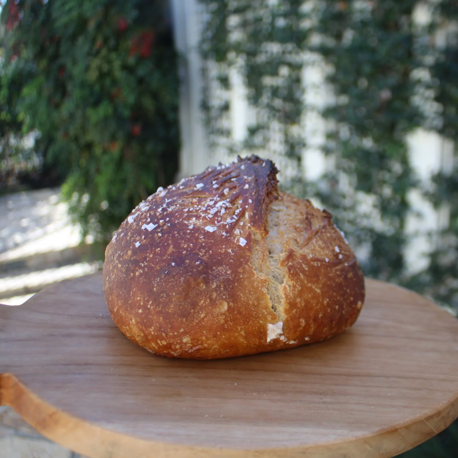The Wheat Sourdough Loaf